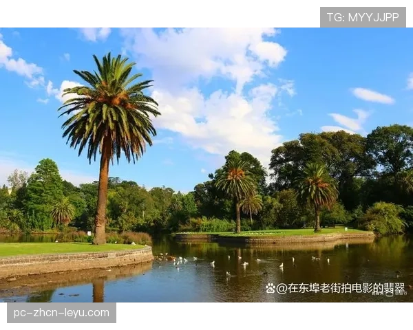 顶级园艺师的审美：他是如何通过植物布局营造出自然韵律的