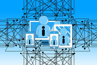 乐鱼体育官网优惠-中国青少年篮球发展政策实施与推广策略，青少年篮球发展现状及对策研究